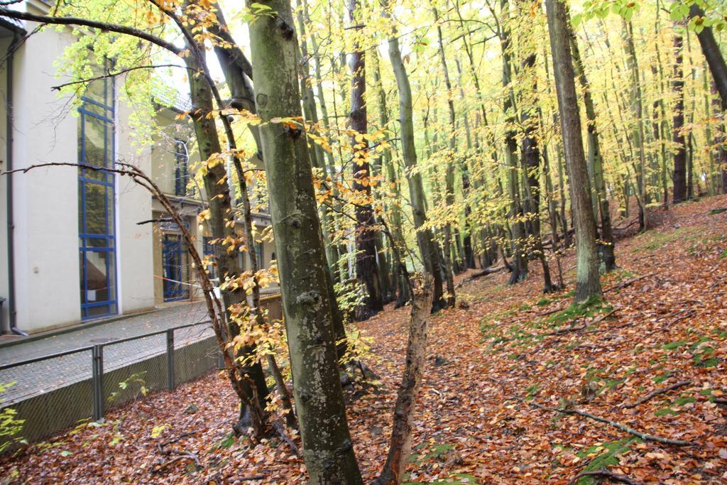 Hotel Lesny Sopot Esterno foto